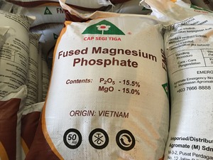 Chất lượng cao mới hợp nhất magiê Phosphate (fmp) NPK DAP bản đồ P2O5 SSP Phosphate phân bón bột dạng hạt Nhà Nước sản xuất Việt Nam - Product Image 4