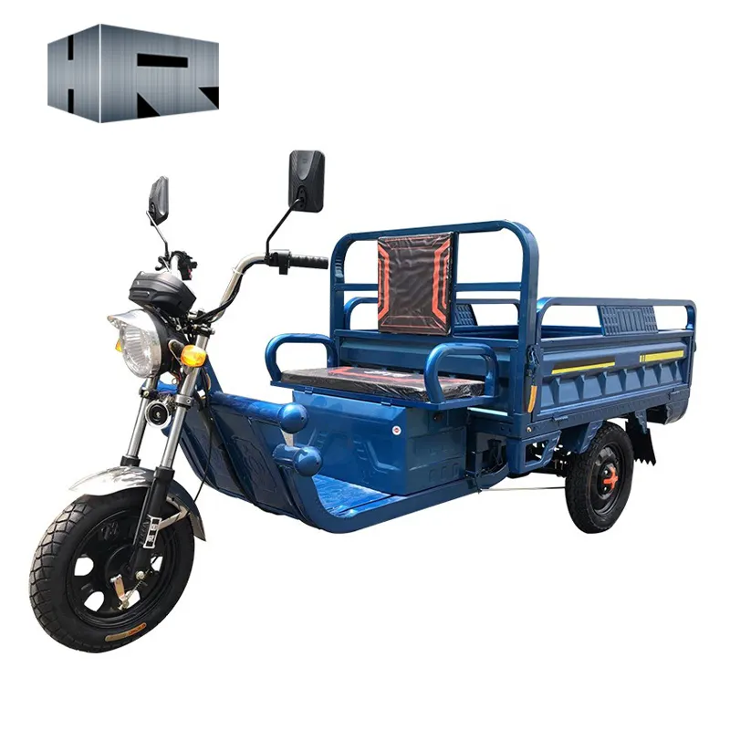 Tricycle électrique pour adultes 1000w Trike électrique motorisé Tricycle électrique à trois roues