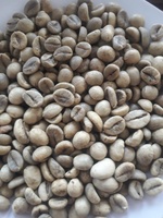 Granos de café verde al por mayor: exportador líder de Vietnam de Arábica orgánica premium y robusta con prácticas sostenibles