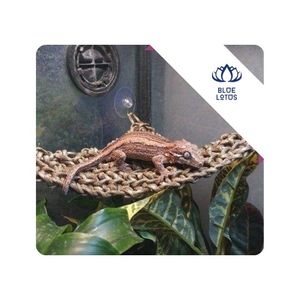Le filet d'angle tissé pour hamac de Reptile de HAUTE QUALITÉ encourage le comportement naturel d'escalade pour les geckos lézards dragons barbus Vietnam - Product Image 1