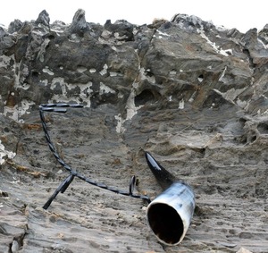 ฮอร์นดื่มควายธรรมชาติขอบโลหะสำหรับเบียร์ทุ่งหญ้า - Product Image 2