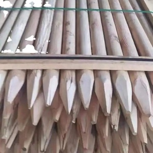 Offre Spéciale VIETNAMIEN 3M * 5CM piquets en bois, bois eucalyptus de haute qualité du Vietnam pour le jardinage - Product Image 2