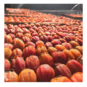 Kaki séché naturellement sucré du Vietnam, Kaki séché avec texture premium adapté aux marques alimentaires haut de gamme - Product Image 3