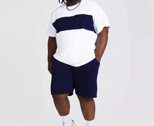 2024 nuevo estilo personalizado para hombres conjunto de verano personalizado algodón poliéster deportes correr conjunto de verano liso - Product Image 2