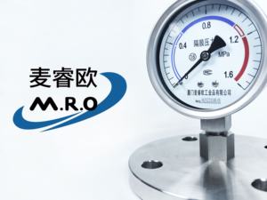 4인치 100mm SS316L 다이어프램 씰 압력 게이지 플랜지 DN25 PN1.6 ANSI 150 #   충격 방지 실리콘 오일 충전 복합 압력계 - Product Image 4