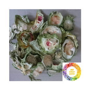 Rebanadas de melón amargo secas a precio de fábrica Calidad de exportación Calabaza amarga deshidratada a granel Ideal para infusiones de desintoxicación de té y cocina - Product Image 2