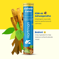 Capsules effervescentes d'Ashwagandha, complément brûle-graisses pour adultes, comprimés minceur au cidre de pomme, poudre, non destiné aux femmes enceintes