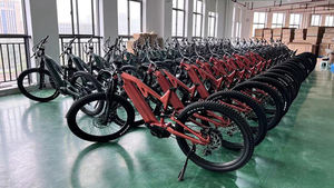 Vélo de montagne électrique Bafang M410 M510 M560 G5300.500.C 36v 48v 250w <span class=keywords><strong>500w</strong></span> 750w à suspension intégrale et entraînement moyen Emtb - Product Image 6