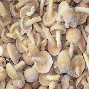 Champignons frais congelés sains et délicieux à vendre au prix de gros - Product Image 3