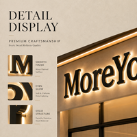 Lettres en relief Xinguan 3D rétroéclairées par LED, personnalisables, pour intérieur/extérieur, étanches IP65, garantie 1 an, multicolores sur mesure