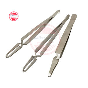 Pince à épiler en acier inoxydable de qualité supérieure pour animaux de compagnie, outils d'élimination des tiques, toiletteurs, Instruments, Logo personnalisé - Product Image 1