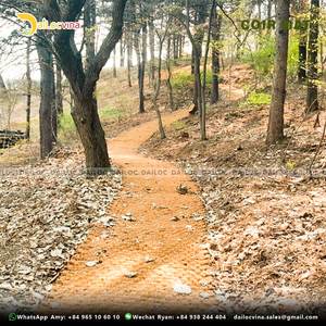 PAVÉ DE TAPIS DE COCO UTILISÉ POUR L'AMÉNAGEMENT PAYSAGE EXTÉRIEUR AUTRES BESOINS DE PAVAGE - Product Image 3