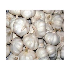 Venta caliente tamaño 5,0 hasta China ajo fresco blanco normal - Product Image 6