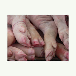 Frozen <b>Pork</b> Ear / Frozen <b>Pork</b> Feet, Pig Feet / Frozen <b>Pork</b> Front Feet for sale - Product Image 5