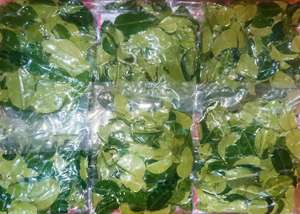 High Quality Vietnam Frozen Lemon Leaves Supplier Offering <b>Large</b> Quantity Export with Best Competitive Price - Product Image 4