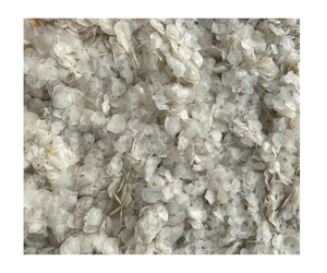 100% เกล็ดปลาแห้งจากธรรมชาติ - Product Image 1