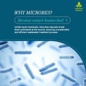 Maquinaria de tratamiento de agua de flotación de aire disuelto para remediación de aguas residuales - Product Image 3