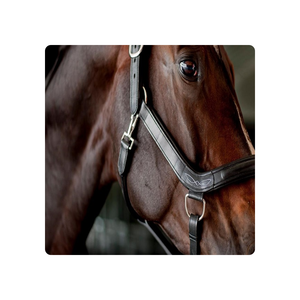 ORSE-cabestro de caballo de calidad, venta al por mayor de cuero de caballo ligero - Product Image 1