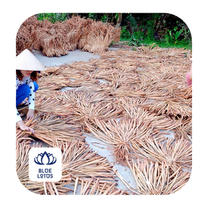 Matière première de fibre de jacinthe d'eau séchée pour diverses applications - Product Image 1