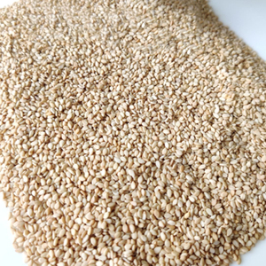 Semillas de Sésamo Blanco Premium a Granel de 25 kg de Pakistán, Naturales, Crudas, Grado A1+, 1 Año de Vida Útil, Producto Agrícola - Product Image 4