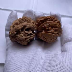 Décoration d'intérieur officielle de luxe en bois fait main avec motif tête de serpent - Pièce rare et exquise, élégante et impérieuse - Product Image 6