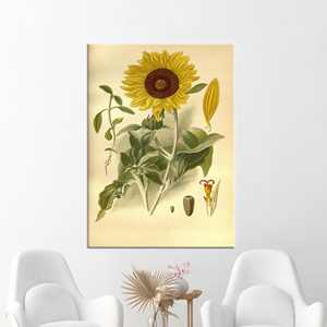 ศิลปะบนผืนผ้าใบลายดอกทานตะวันสไตล์วินเทจ: ผ้าใบพิมพ์ลายสวยงามสำหรับตกแต่งบ้าน ห่อหุ้มอย่างดี - Product Image 1