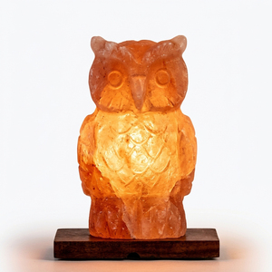 Pink <b>Salt</b> Lamp Owl Shaped Hand Carved Natural Crystal Night Light With Wooden Base Home Decor <b>Gift</b> - Product Image 1