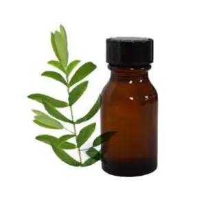 Wholesale Bulk Selling Tea Tree Oil 100% Natural Essential Tea Tree Oil Prevent Acne & Pimples Remover Uses