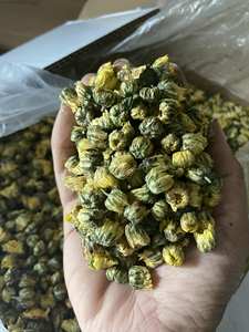 Precio al por mayor Crisantemo amarillo natural Fragancia seca Manzanilla Bud Flower Tea - Product Image 5