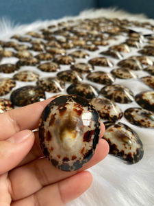 CÁSCARAS DE LÁMPARA NATURAL PARA EMBARAZADAS MEJOR VENDEDOR SHELL MUY RECOMENDABLE MUJER COMFORT MOM'S NIPPLE - Product Image 5