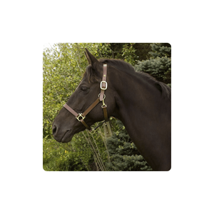 2022คล้องคอหนังอินเดียแบบมีเชือกแขวนคอหนังอเนกประสงค์ - Product Image 1