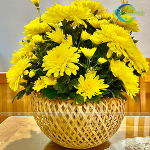 Natural Handmade <b>BAMBOO</b> <b>BASKETS</b> Fruit Storage <b>Basket</b> From Vietnam Perfect for Storage and Decoration Food Serving Tray - Product Image 3