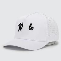 Chapeaux de golf imperméables à 5 panneaux en gros avec trous découpés au laser personnalisés motif léopard brodé en 3D fabriqué au Vietnam Logo personnalisé