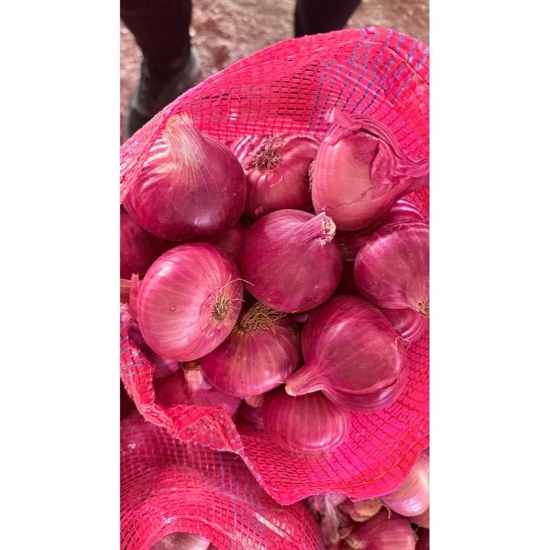 100 Naturally Made Fresh Healthy 1st