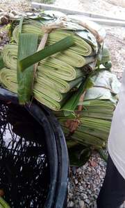 ใบกล้วยไม้ไผ่เขียวสําหรับห่อเค้ก - ใบกล้วยเป็นมิตรกับสิ่งแวดล้อมจากเวียดนาม - แพ็คเกจอาหารใบกล้วยสด - Product Image 6