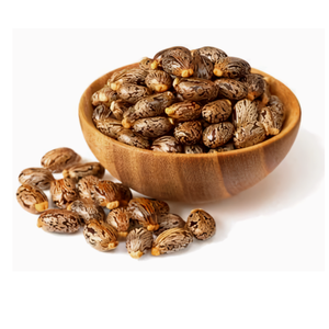 Semillas de Ricino Orgánicas Secas a Granel, Precio de Venta Caliente - Product Image 6