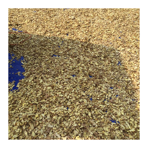 Gingembre séché naturel du Vietnam Tranche de gingembre séché de qualité supérieure à l'exportation et racine entière en vrac Fournisseur d'usine en gros - Product Image 2