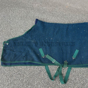 Almohadilla de terapia de luz roja ecuestre, Alfombra de caballo, cuerpo entero, caballo, luz roja, manta de terapia de luz infrarroja equina - Product Image 1