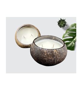 2022 bol de coquille de noix de coco de marque chaude bol réutilisable de qualité supérieure bol de noix de coco sain du Vietnam - Product Image 1