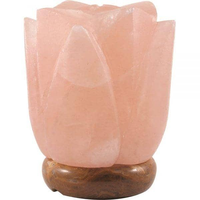 Lámpara LED USB Artesanal de Sal Rosa del Himalaya Natural, Colección de Cuencos de Fuego en Forma de Corazón y Pirámide Lunar, Purificador de Aire Moderno