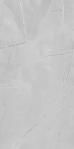 Berlistone Bianco 800x1600mm Carreaux de sol en porcelaine mat de qualité supérieure Inde Premium - Product Image 3