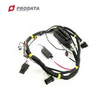 Câble blindé personnalisé Accessoires automobiles Faisceau de câbles mâle femelle PVC Noir 3000W Kit de conversion de vélo électrique