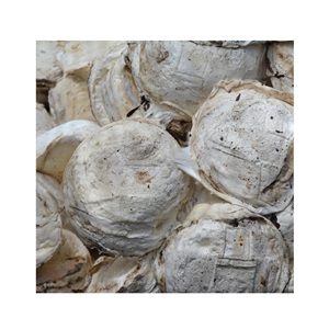 ยางธรรมชาติคุณภาพสูง เกรดพรีเมียม แบบก้อน ความหนาแน่น 72% สำหรับขาย - Product Image 1