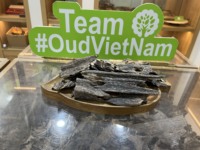 Top1 kalite karınca Oud ahşap Bakhoor brülör iyi reçine ile güçlü uzun ömürlü koku koku saf tütsü Oud Vietnam Agarwood
