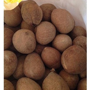 มะพร้าวและผลิตภัณฑ์จากมะพร้าว2023 - Product Image 4