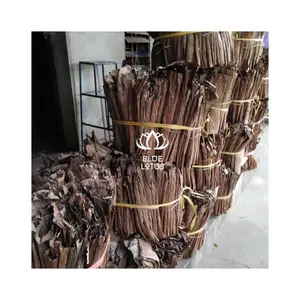 Folhas de bananeira secas de fábrica em grande quantidade, preço quente, produto agrícola por atacado do Vietnã, folha 2024