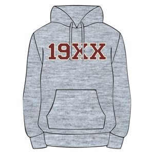 Año de Fundación DST Delta Grey Pullover Hoodie Mezcla de algodón Premium Greek Sorority Apparel Divine Nine HBCU Soror Hoodie - Product Image 2