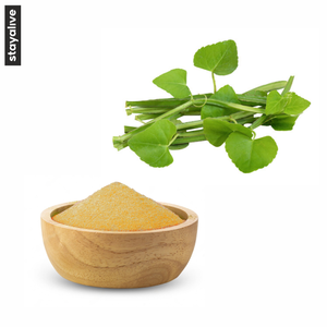 Polvo de cissus 100% natural y de primera calidad | Polvo de cissus quadrangularis | Extracto de plantas - Product Image 2