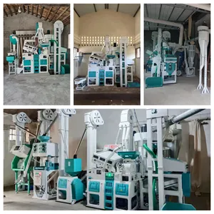 Moulin à riz automatique à un passage, machine de nettoyage de riz, machine d'épluchage de riz, prix