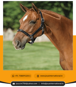 เชือกคล้องคอหนังม้ายกแบบคลาสสิก - Product Image 3